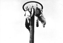 A Ponzano questa sera c’è l’albero della cuccagna