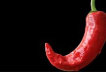 Eros, cibo e letteratura: la triade del piacere