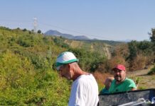 Le nuove vigne, bellissime isole verdi e uve di ottima qualità
