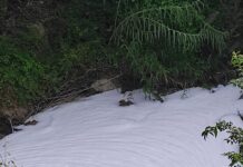 Gramiccia, la schiuma torna ad occupare il fosso
