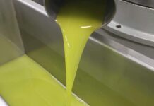 Si conoscerà domenica il migliore olio d’oliva della Valle Tiberina