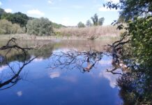 Lago Puzzo, monumento naturale. La proposta di Fiano e Capena