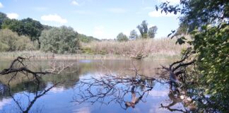 Lago Puzzo, monumento naturale. La proposta di Fiano e Capena