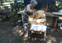 Il pane nella pattumiera