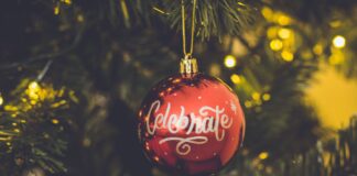 Emozioni di Natale: tutti gli eventi in programma a Castelnuovo Natale