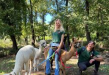 Tante novità ad Alpaca di Roma