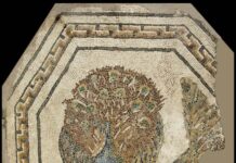 Colori dei romani. I mosaici delle Collezioni Capitoline Colori dei romani