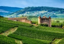 La Città dei Vini di Borgogna apre le sue porte