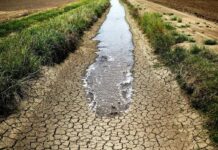 La sofferenza dei contadini, senza più pioggia siccità agricoltura 2