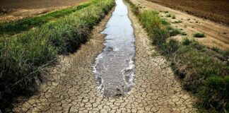 La sofferenza dei contadini, senza più pioggia siccità agricoltura 2