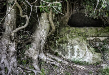 Nasce il Paniere del Pellegrino. Dalla Tuscia all’Europa, la biodiversità si fa design DMO Francigena Tuscia Necropoli Tuscia_Foto di Luca Perazzolo