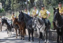 Equiraduno “Horse Green Experience” nella Valle del Tevere