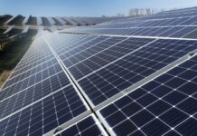 Rinnovabili: nuove installazioni agrivoltaiche in Sicilia