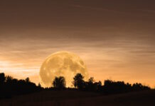 Stasera la Superluna del Cervo: ecco quando e come vederla.