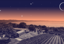 Sagre del territorio da non perdere Sagre