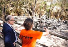 Un appello per La Fattorietta e il suo asilo nel bosco