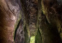 Magliano Romano: la bellezza della natura di Monte Sbucato e Pozzali