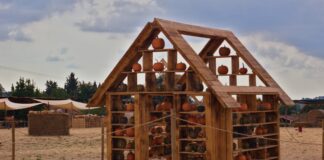 Fattoria della Zucca: l’esperienza d’autunno tra paglia e spaventapasseri Una parte del Pumpkin Patch di Sacrofano