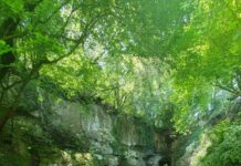 Sulle sponde del Crèmera con gli Esploratori Veientani Il Ponte Sodo sul Crèmera, Roma