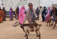 La storia di Mohamed Lebsir Mohamed