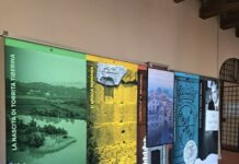 Torrita Tiberina: domani, 9 maggio, presentazione del nuovo spazio museale.