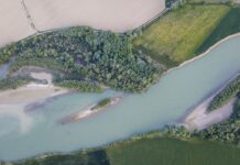 Approdi d’Arte: danza, arte e laboratori creativi sulle sponde del Tevere