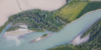 Approdi d’Arte: danza, arte e laboratori creativi sulle sponde del Tevere