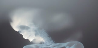 Osteoporosi: una malattia silente