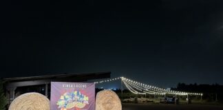 Torna Vinea Lucens: Il Primo Show Immersivo in un Vigneto.