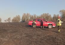 Bruciano campagne e boschi. Le immagini dell’incendio che ha colpito la zona di Paterno, a Faleria L'incendio a Faleria, in zona Castel Paterno - Foto Il Nuovo Magazine