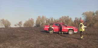 Bruciano campagne e boschi. Le immagini dell’incendio che ha colpito la zona di Paterno, a Faleria L'incendio a Faleria, in zona Castel Paterno - Foto Il Nuovo Magazine