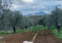 Le nostre povere terre abbandonate