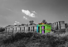 Castelnuovo di Porto: L’arte che vince sui “mostri”