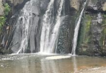 Le Forre dell’Agro Falisco: il nuovo docufilm di Domenico Parisse in anteprima TV