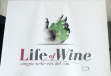 Domenica 24 Novembre torna a Roma la XIII Edizione di “Life of Wine”.