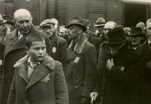 Gocce di memoria: la storia di Umberto Pace, ebreo arrestato a Faleria memoria arresti shoah