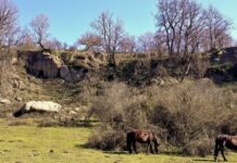 Il Parco di Veio cresce di 602 ettari, tutelati boschi, torrenti, praterie