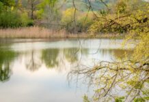 Fiano istituisce sentiero che collega Lago Puzzo con Tevere Farfa