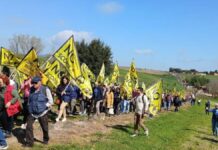 I Comitati No Scorie nella Tuscia si mobilitano: l’11 maggio marcia a Corchiano e Gallese Comitato No Scorie Tuscia