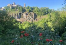 Uno sguardo sul passato: la rinascita della rupe del vecchio borgo di Faleria La rupe di Faleria, con i lavori in corso. Foto: Cristina Majnero su Facebook