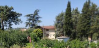 Comunità energetiche, la sfida di Torrita Tiberina contro i tanti ma…