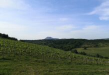 Domini collettivi di Capena, elezioni per dare nuove prospettive a 300 ettari di storia