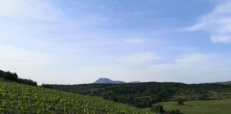 Domini collettivi di Capena, elezioni per dare nuove prospettive a 300 ettari di storia