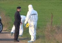 Federica Torzullo: trovato un cadavere di donna nell’azienda del marito