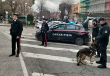 Monterotondo e Mentana, controlli dei Carabinieri contro furti e spaccio