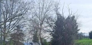 Al via pavimentazione tratti strade Provinciali nella nostra zona