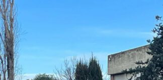 Roma, cade un albero sul liceo Orazio a Talenti