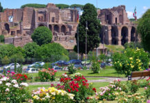 Roma: da sabato 11 aprile riapre il roseto comunale