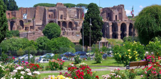 Roma: da sabato 11 aprile riapre il roseto comunale