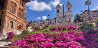 Roma: tornano le azalee sulla Scalinata di Trinità dei Monti.
